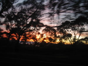 the view of the sunrise from the car. it looked better in real life.