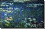 waterlilies (15k image)